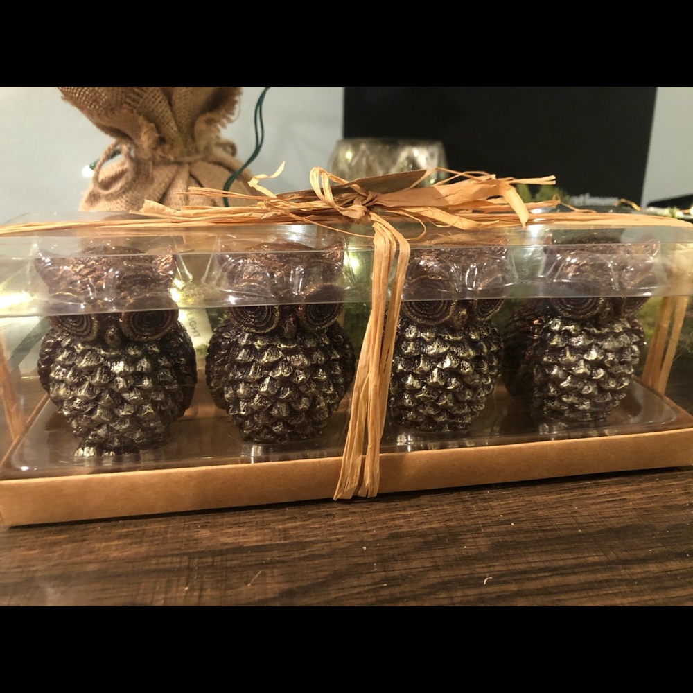 Owl candles